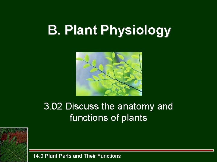 B. Plant Physiology 3. 02 Discuss the anatomy and functions of plants 14. 0