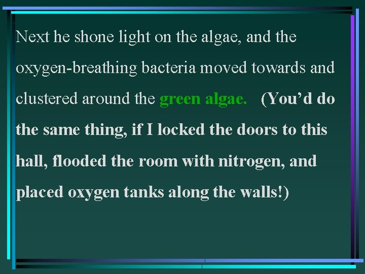 Next he shone light on the algae, and the oxygen-breathing bacteria moved towards and