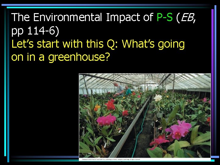 The Environmental Impact of P-S (EB, pp 114 -6) Let’s start with this Q: