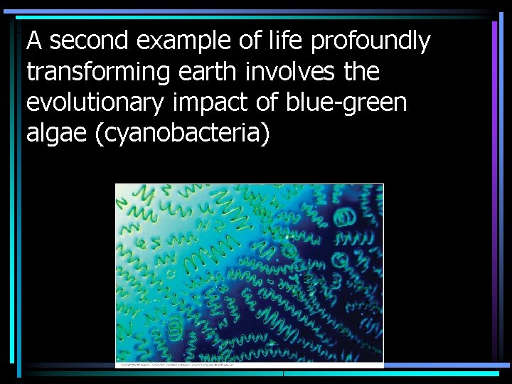 A second example of life profoundly transforming earth involves the evolutionary impact of blue-green