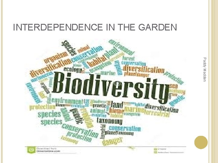 INTERDEPENDENCE IN THE GARDEN Paddy Madden INTERDEPENDENCE IN THE GARDEN Paddy Madden