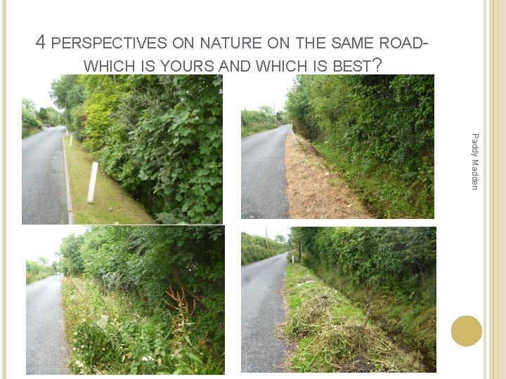4 PERSPECTIVES ON NATURE ON THE SAME ROADWHICH IS YOURS AND WHICH IS BEST? 4 PERSPECTIVES ON NATURE ON THE SAME ROADWHICH IS YOURS AND WHICH IS BEST?