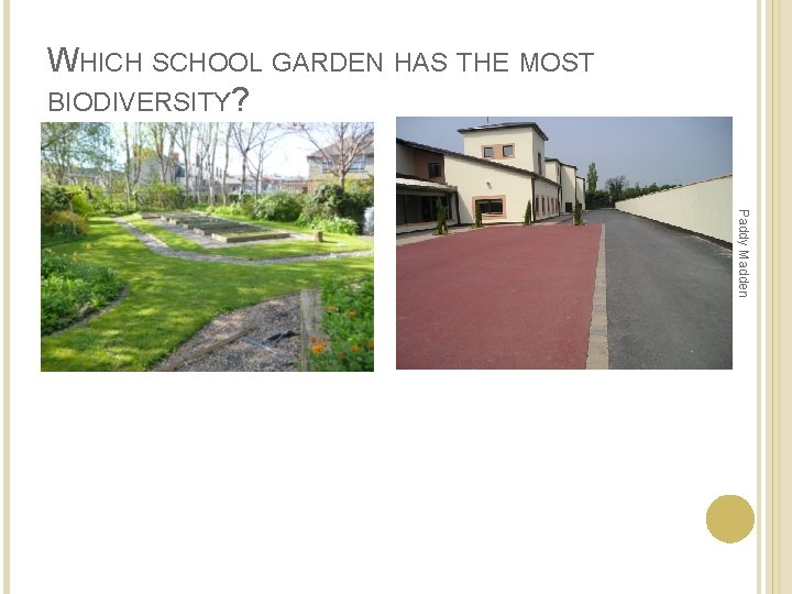 WHICH SCHOOL GARDEN HAS THE MOST BIODIVERSITY? Paddy Madden WHICH SCHOOL GARDEN HAS THE MOST BIODIVERSITY? Paddy Madden