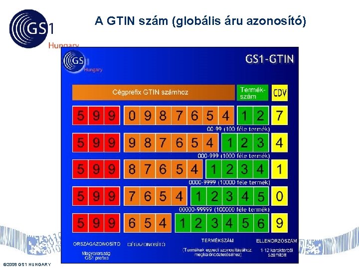 A GTIN szám (globális áru azonosító) © 2008 GS 1 HUNGARY US 