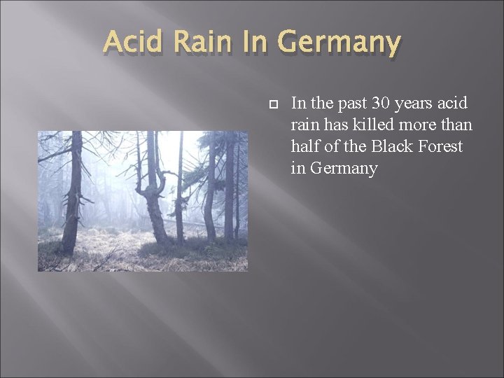 Acid Rain In Germany In the past 30 years acid rain has killed more
