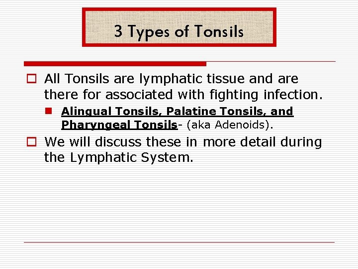 3 Types of Tonsils o All Tonsils are lymphatic tissue and are there for