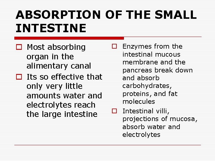 ABSORPTION OF THE SMALL INTESTINE o Most absorbing organ in the alimentary canal o ABSORPTION OF THE SMALL INTESTINE o Most absorbing organ in the alimentary canal o