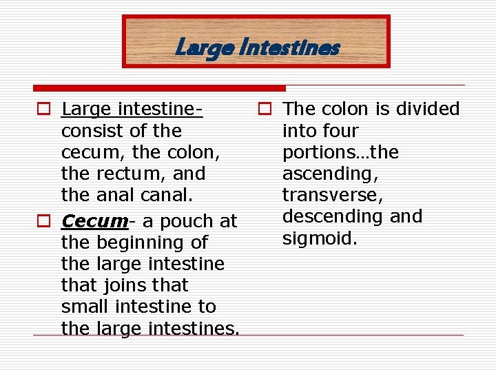 Large Intestines o Large intestineo The colon is divided consist of the into four