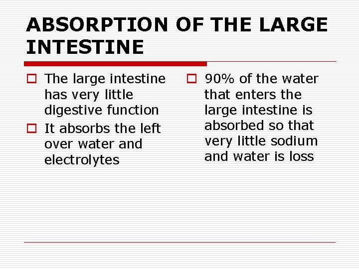 ABSORPTION OF THE LARGE INTESTINE o The large intestine has very little digestive function
