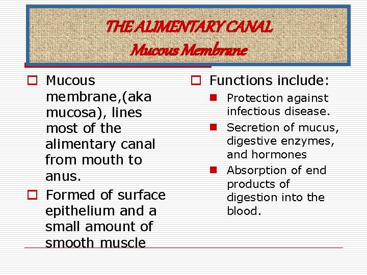 THE ALIMENTARY CANAL Mucous Membrane o Mucous membrane, (aka mucosa), lines most of the