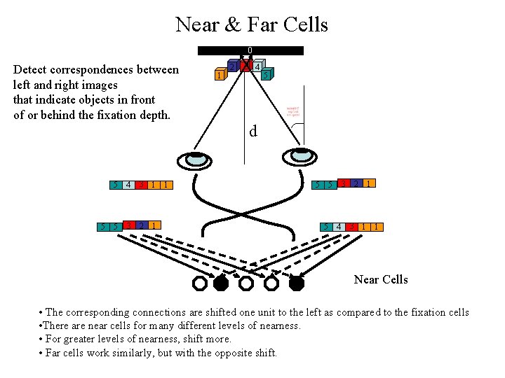 Near & Far Cells 0 Detect correspondences between left and right images that indicate