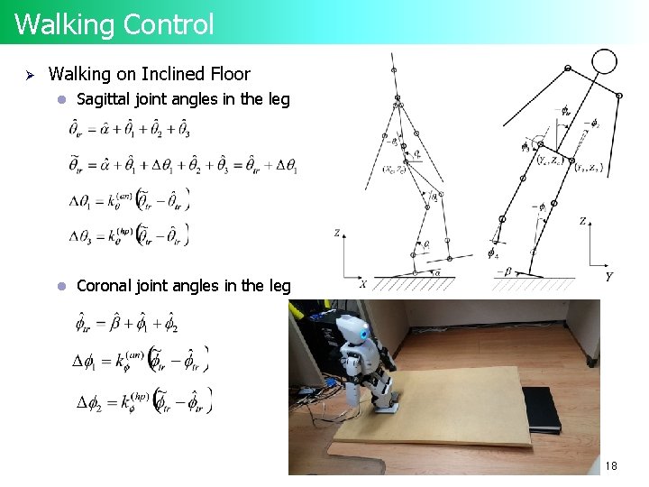 Walking Control Ø Walking on Inclined Floor l Sagittal joint angles in the leg