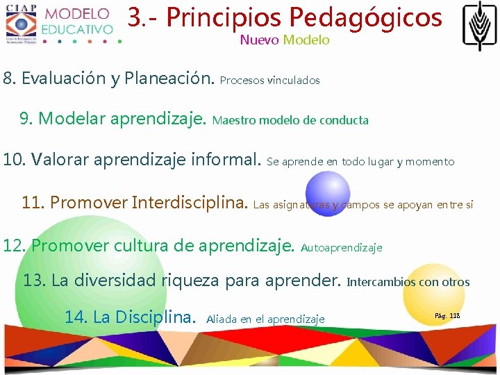 3. - Principios Pedagógicos Nuevo Modelo 8. Evaluación y Planeación. 9. Modelar aprendizaje. Procesos