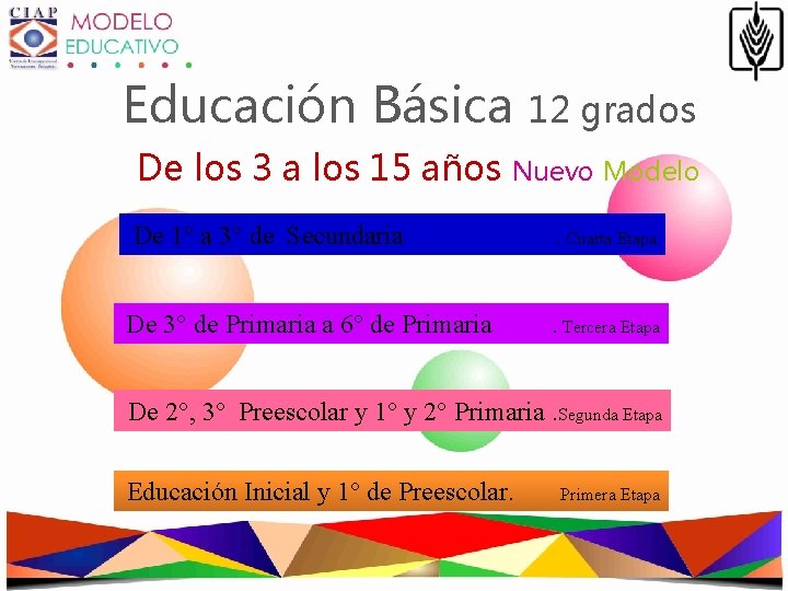 Educación Básica De los 3 a los 15 años 12 grados Nuevo Modelo De