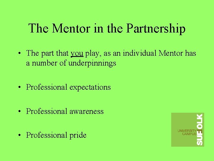 The Mentor in the Partnership • The part that you play, as an individual