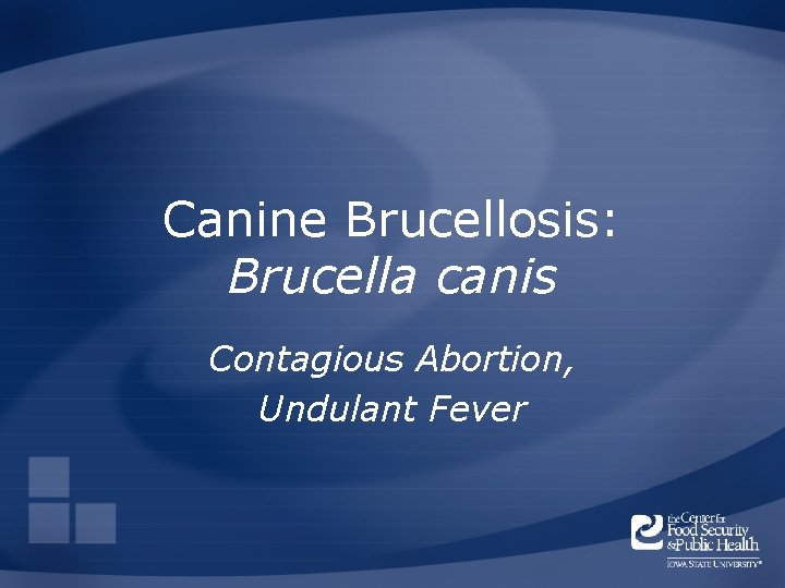 Canine Brucellosis: Brucella canis Contagious Abortion, Undulant Fever 