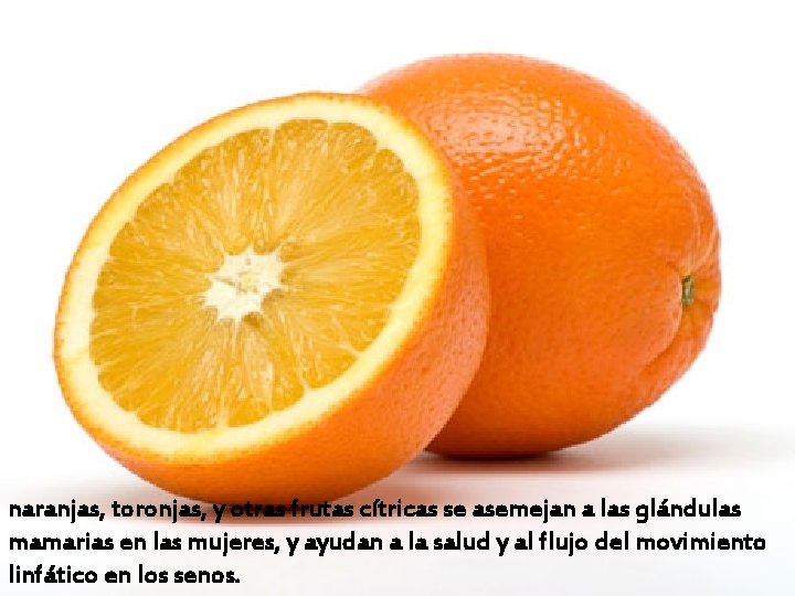 naranjas, toronjas, y otras frutas cítricas se asemejan a las glándulas mamarias en las
