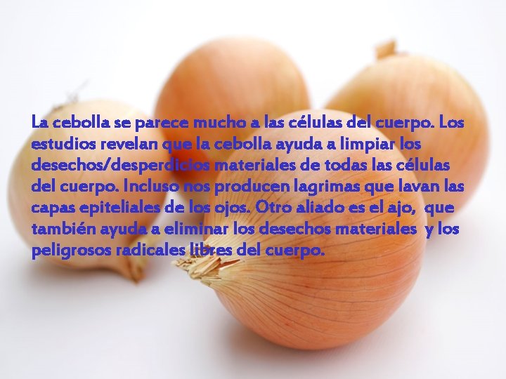 La cebolla se parece mucho a las células del cuerpo. Los estudios revelan que La cebolla se parece mucho a las células del cuerpo. Los estudios revelan que