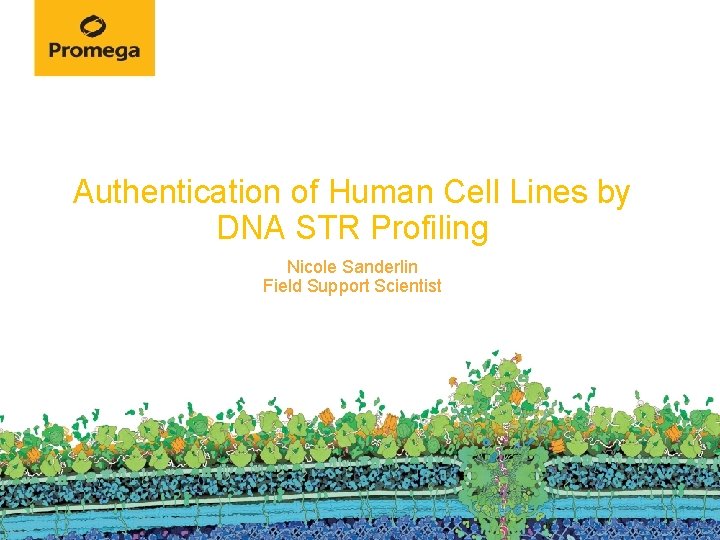 Authentication of Human Cell Lines by DNA STR Profiling Nicole Sanderlin Field Support Scientist
