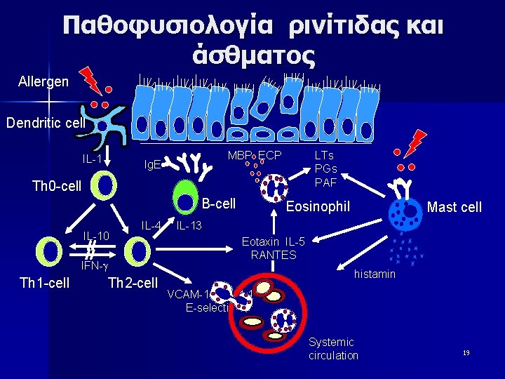 Παθοφυσιολογία ρινίτιδας και άσθματος Allergen Dendritic cell IL-1 MBP ECP Ig. E LTs PGs