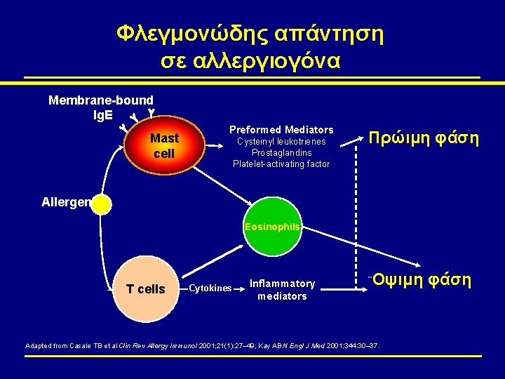 Φλεγμονώδης απάντηση σε αλλεργιογόνα Membrane-bound Ig. E Mast cell Preformed Mediators Cysteinyl leukotrienes Prostaglandins