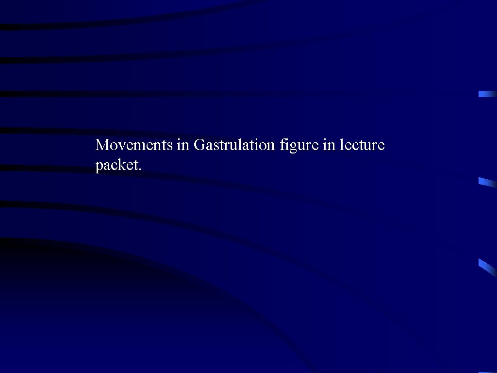 Movements in Gastrulation figure in lecture packet. 