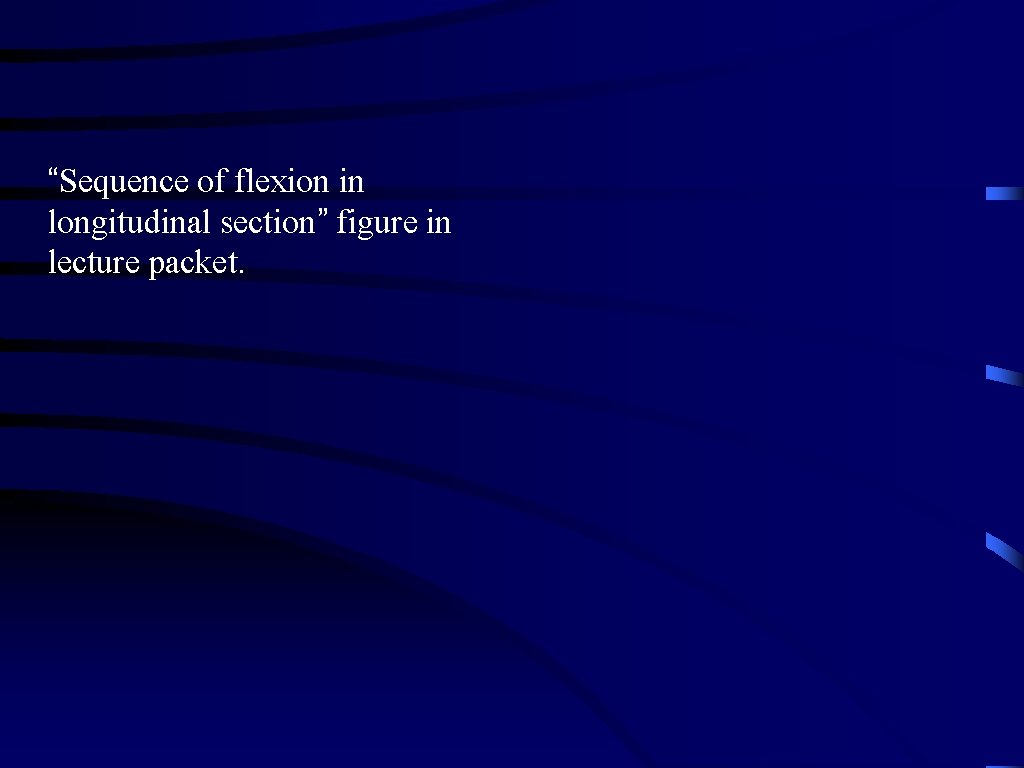 “Sequence of flexion in longitudinal section” figure in lecture packet. 