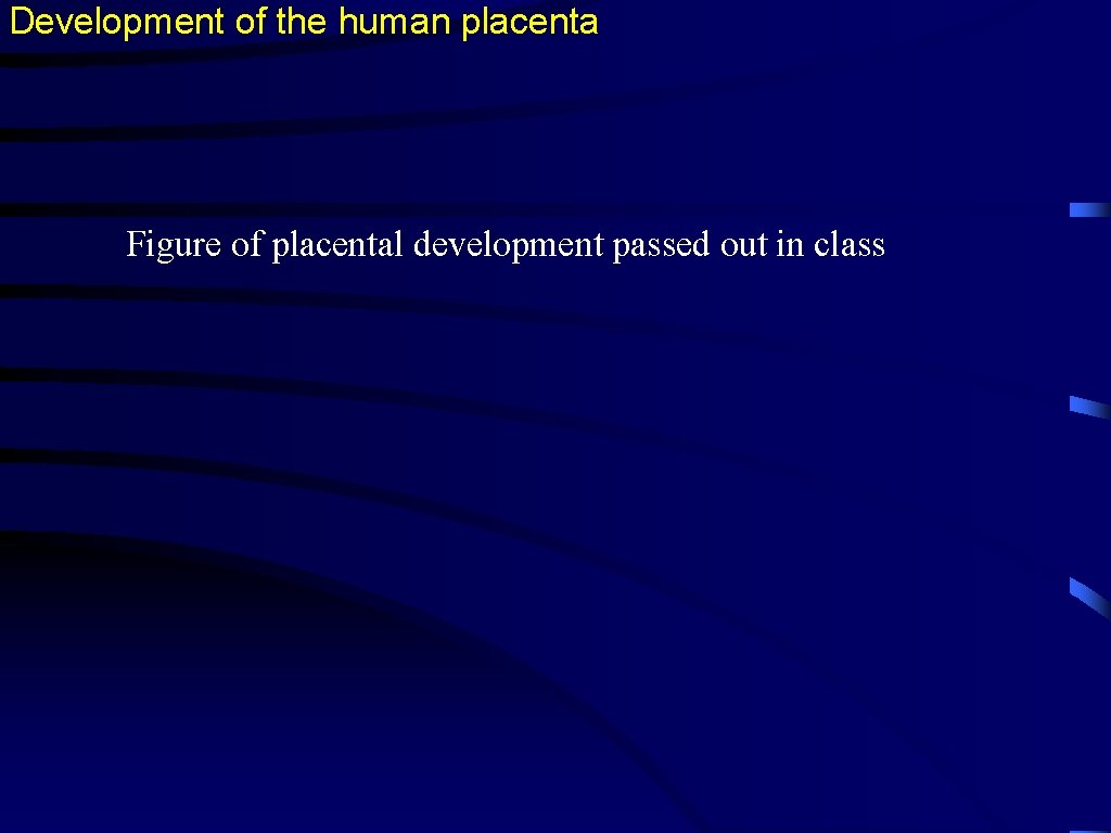 Development of the human placenta Figure of placental development passed out in class 