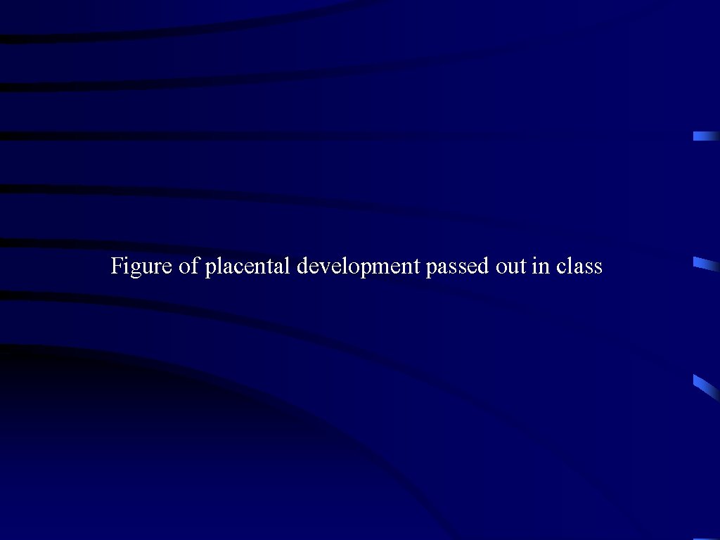 Figure of placental development passed out in class 