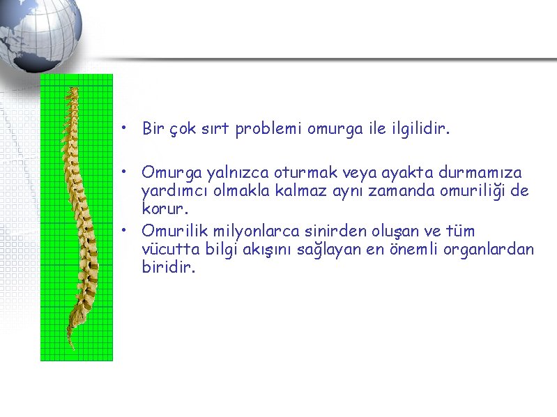 • Bir çok sırt problemi omurga ile ilgilidir. • Omurga yalnızca oturmak veya • Bir çok sırt problemi omurga ile ilgilidir. • Omurga yalnızca oturmak veya