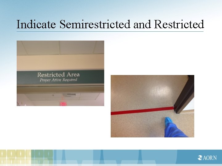 Indicate Semirestricted and Restricted 