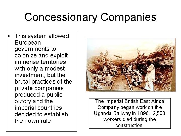 Concessionary Companies • This system allowed European governments to colonize and exploit immense territories