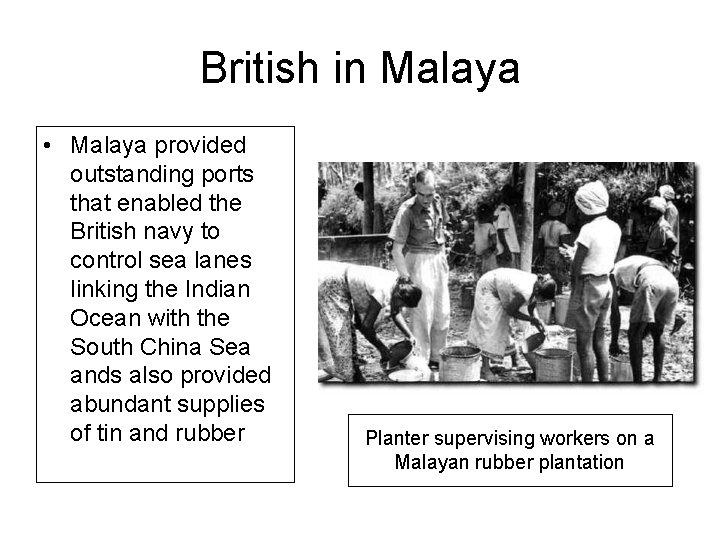 British in Malaya • Malaya provided outstanding ports that enabled the British navy to