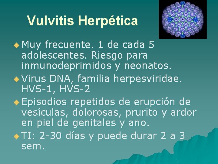 Vulvitis Herpética u Muy frecuente. 1 de cada 5 adolescentes. Riesgo para inmunodeprimidos y