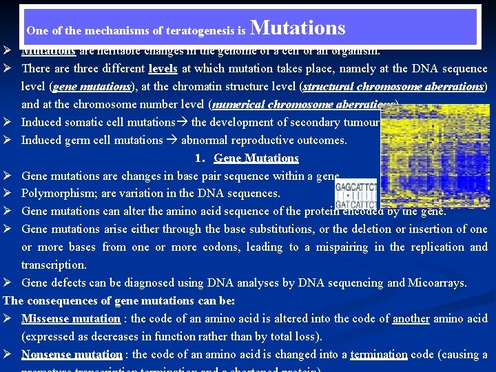 One of the mechanisms of teratogenesis is Mutations Ø Mutations are heritable changes in