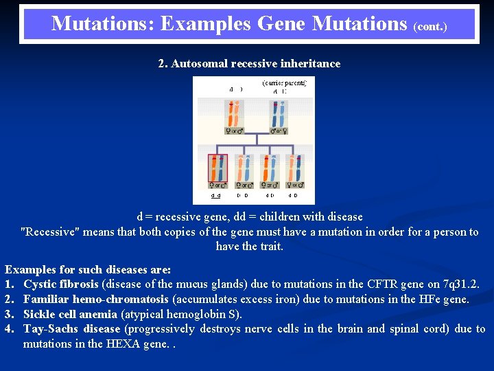 Mutations: Examples Gene Mutations (cont. ) 2. Autosomal recessive inheritance d = recessive gene,