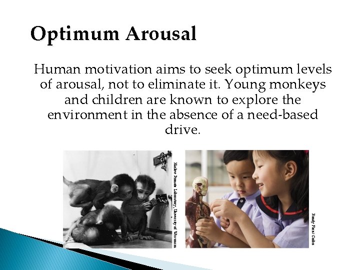 Optimum Arousal Human motivation aims to seek optimum levels of arousal, not to eliminate