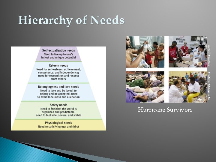Hierarchy of Needs Joe Skipper/ Reuters/ Corbis Mario Tama/ Getty Images David Portnoy/ Getty