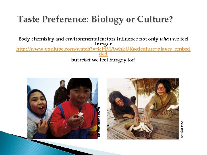 Taste Preference: Biology or Culture? Body chemistry and environmental factors influence not only when