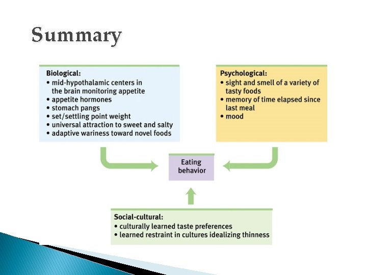 Summary 