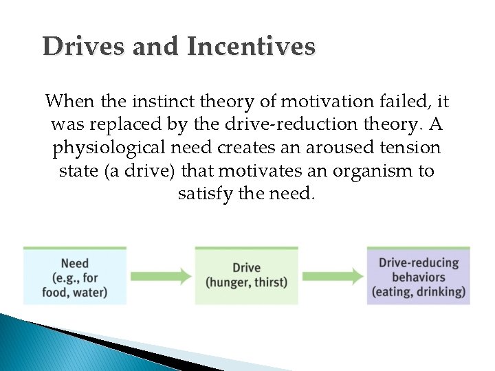 Drives and Incentives When the instinct theory of motivation failed, it was replaced by