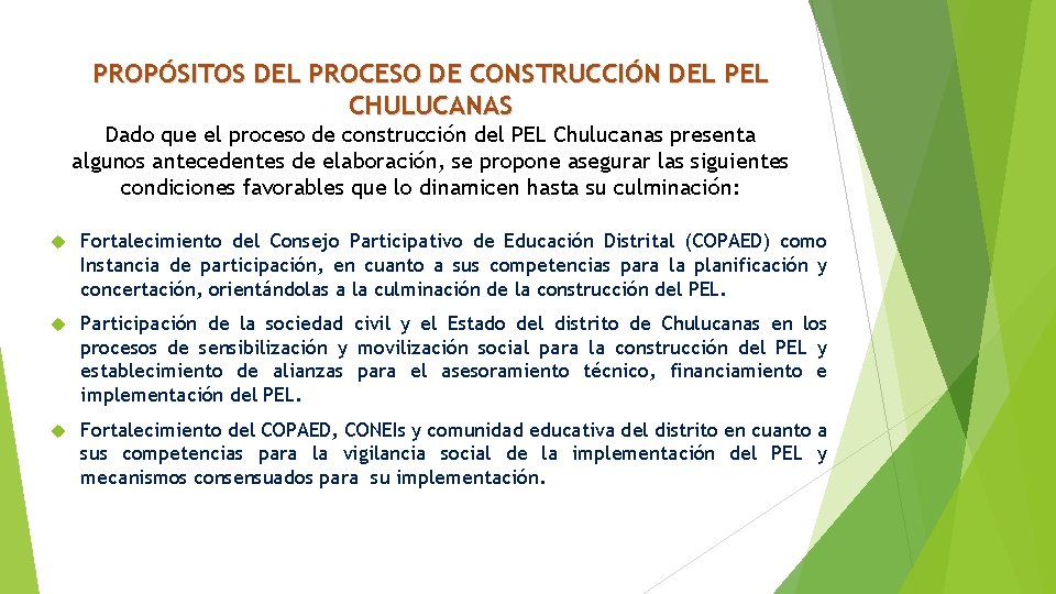 PROPÓSITOS DEL PROCESO DE CONSTRUCCIÓN DEL PEL CHULUCANAS Dado que el proceso de construcción