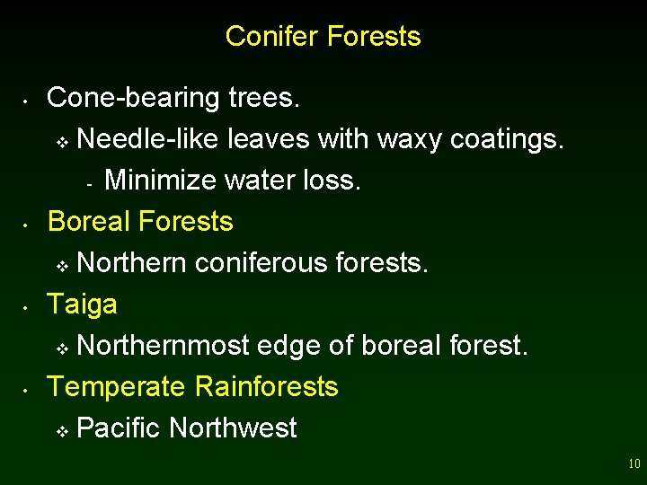 Conifer Forests • • Cone-bearing trees. v Needle-like leaves with waxy coatings. - Minimize
