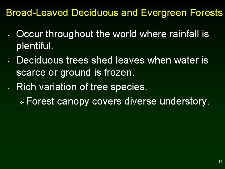 Broad-Leaved Deciduous and Evergreen Forests • • • Occur throughout the world where rainfall