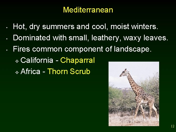 Mediterranean • • • Hot, dry summers and cool, moist winters. Dominated with small,