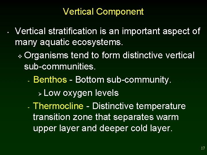 Vertical Component • Vertical stratification is an important aspect of many aquatic ecosystems. v