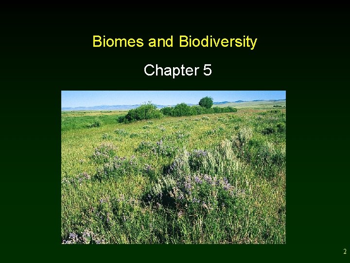 Biomes and Biodiversity Chapter 5 2 