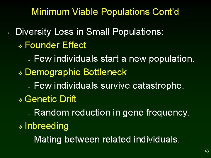 Minimum Viable Populations Cont’d • Diversity Loss in Small Populations: v Founder Effect -