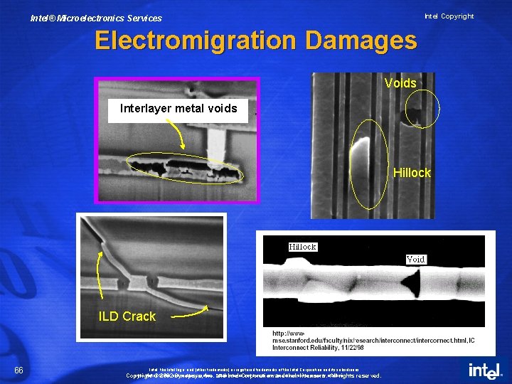 Intel Copyright Intel® Microelectronics Services Electromigration Damages Voids Interlayer metal voids Hillock ILD Crack