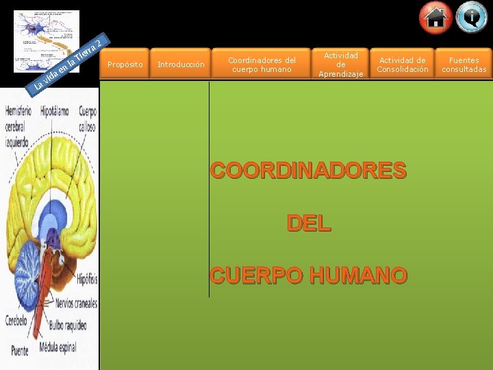 La a vid e a nl rra e i T 2 Propósito Introducción Coordinadores